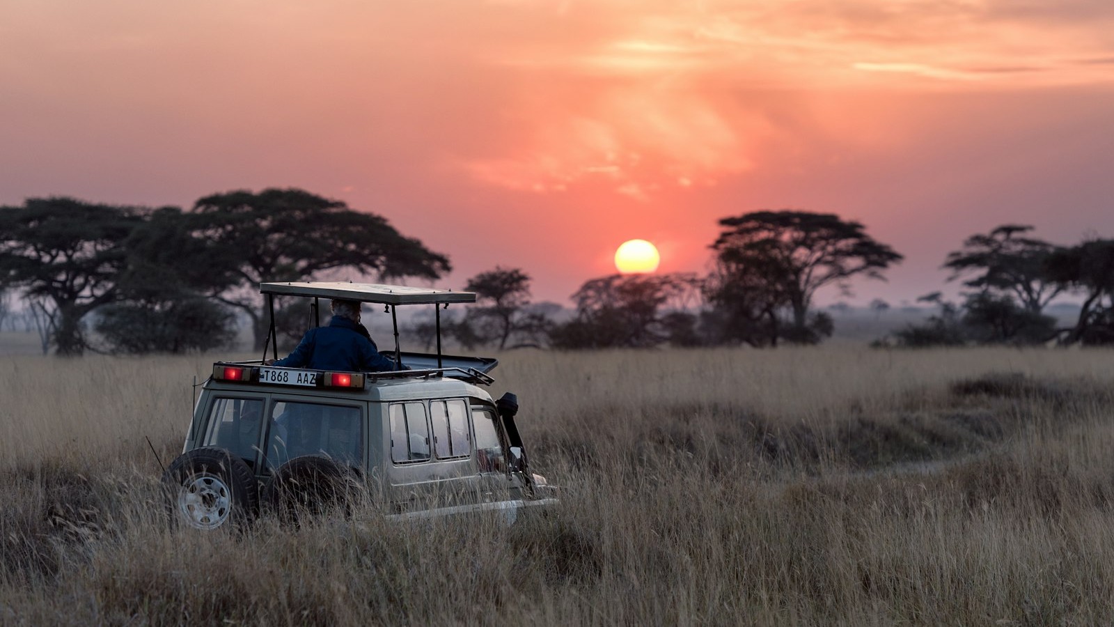 Wildlife journey · Inspiration only